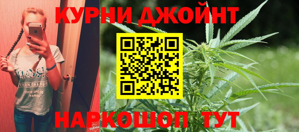 Конопля сатива Гусь-Хрустальный